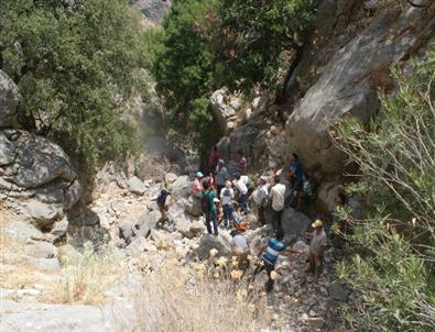 Keçi İnadı Çiftçinin Başını Derde Soktu