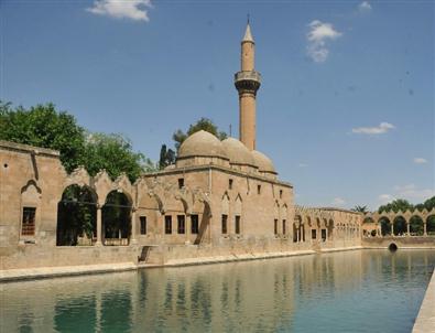 Şanlıurfalılar Ağaç Gölgelerinde Serinlemeye Çalışıyor