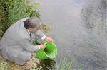 DURMUŞ KÜÇÜK - Ceyhan Nehrine 10 Bin Yavru Sazan Bırakıldı