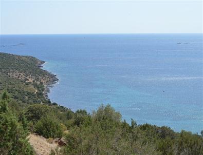 Başbakan Erdoğan Urla'dan Helikopterle Ayrıldı