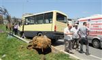 AYDINLATMA DİREĞİ - Minibüs Aydınlatma Direğine Çarptı: 10 Yaralı