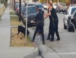 Polis, kendisine saldıran köpeğe kurşun yağdırdı