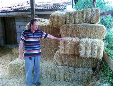 Ucuzlayan Saman Fiyatları Besiciyi Rahatlattı