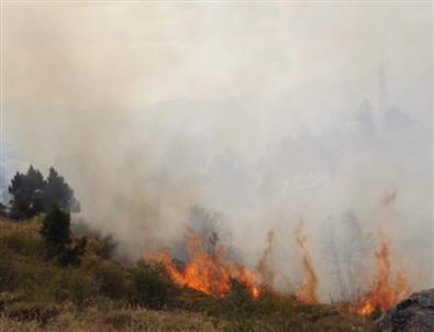 Seydişehir’de Orman Yangını