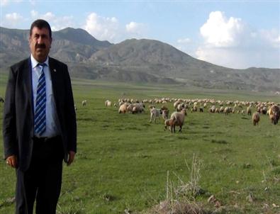 Van’da Sürü Yöneticiliği Çobanlık Eğitimi Verilecek