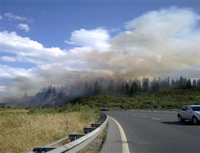 5 Hektarlık Alan Kül Oldu