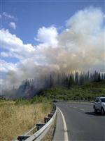 5 Hektarlık Alan Kül Oldu