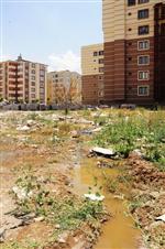 VAN BELEDİYESİ - Alipaşa Mahallesi Lağım Soluyor