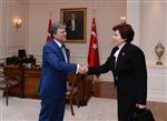 DANIŞTAY BAŞKANLIĞI - Cumhurbaşkanı Gül, Danıştay Başkanı Güngör’ü Kabul Etti