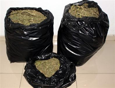 Gaziantep'te Uyuşturucu Operasyonları