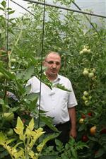NECMİ ÇELİK - İl Tarım Müdürü “iyi Tarım Uygulamarı” Yapan Üreticileri Ziyaret Etti