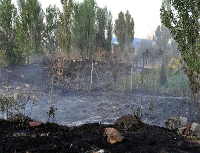 Eskişehir'de Ot Yangını Korkuttu