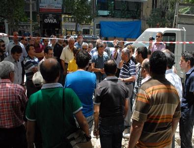 'Ağaç Kesme' Meselesinde Kavga Çıktı