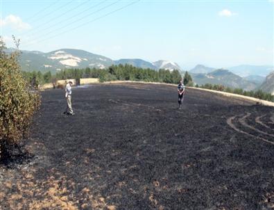 Bilecik’te Orman Yangını