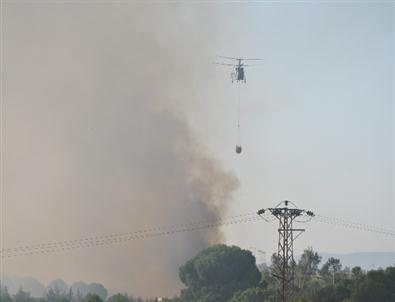 İzmir'deki Orman Yangını