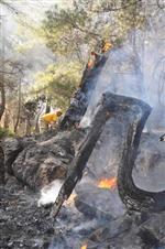 İNLICE - Muğla ve Aydın’da Yangınlar Devam Ediyor