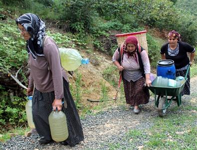 Ordu’da Köylünün Su Çilesi