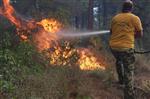 MEHMET AKÇAY - Çanakkale'de orman yangını