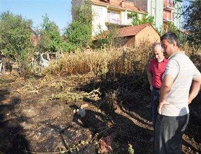 Hisarcık’ta Yangın