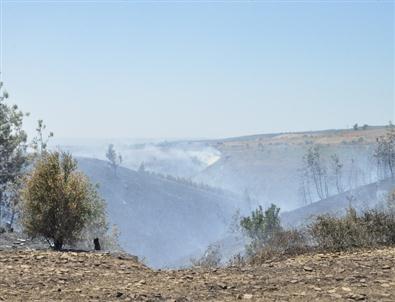 Kozan'daki Yangın Kontrol Altına Alındı