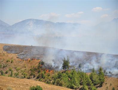 Orman Yangını Köyü Tehdit Ediyor