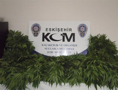 Eskişehir’de Uyuşturucu Operasyonları