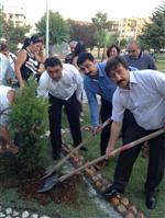 Gaziemir'de Madımak'a 4 Fidanlı Anma