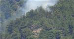 UYUŞTURUCU TACİRLERİ - Uyuşturucu Tacirleri Ormanı Ateşe Verdi