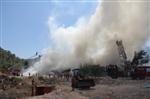 ÇAMYUVA - Kemer'de Korkutan Yangın