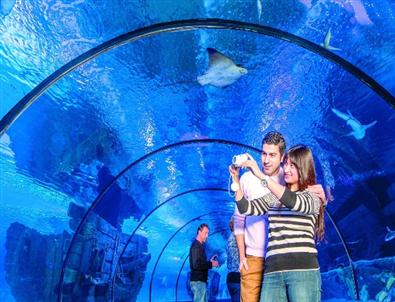 Akvaryum’da 1 Milyona Doğru