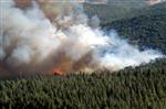Hatay'da 50 Hektarlık Kızılçam Ormanı Yandı