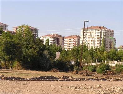 Sadece Yeşillik Yok Edilmiyor, Meyve Gen Kaynakları Da Bitiyor