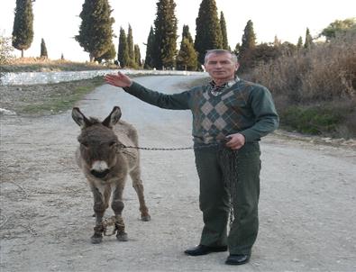 Köylerde At ve Eşek Sayısı Azaldı