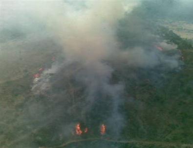 Adana'daki Orman Yangını Kontrol Altına Alındı