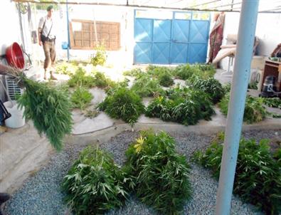 Didim’de Jandarma Uyuşturucu Tacirlerine Göz Açtırmadı