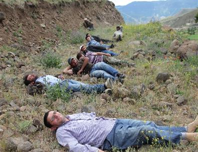 Köylülerin Yol Tepkisi