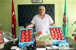 TARIM ÜRÜNÜ - Pembe Domates Fiyat Artışından Etkilenmeyecek
