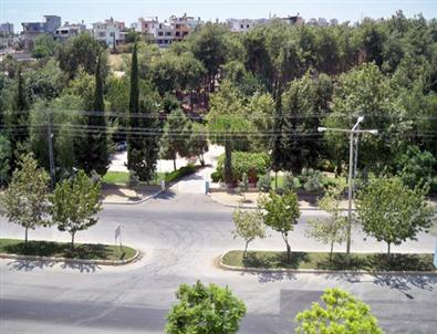 Belediye, Hizmet Binası ve Kültür Merkezi Yapmak İçin Ağaçları Söktü