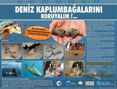 Caretta Caretta'lar İçin Tanıtım Panosu