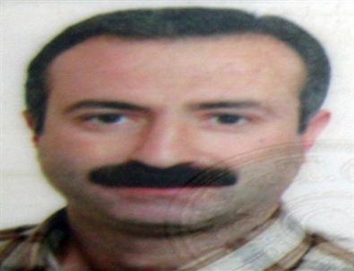 Kamyon Ağaça Çarptı: 1 Ölü