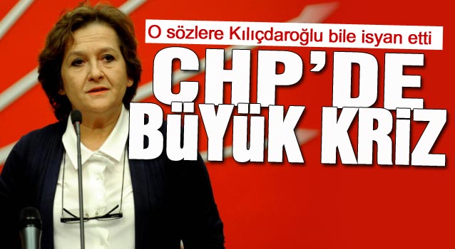 CHP'li Güler: ''Kimse bana 'Sen nasıl darbeyi savunursun' demedi''