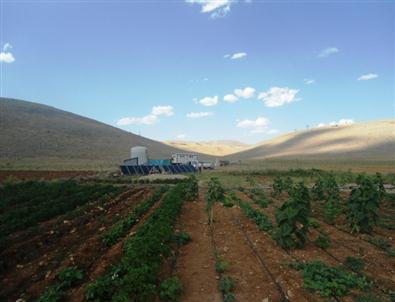 Güneş Enerjisiyle Sulama