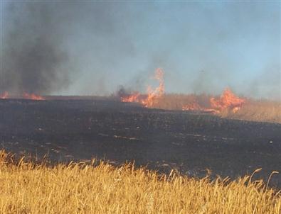Anız Yakan Çiftçiye Devlet Desteklerinden Men Cezası