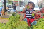 PREBIYOTIK - Çocuk Beslenmesinde Meyve ve Sebze Tüketiminin Önemi