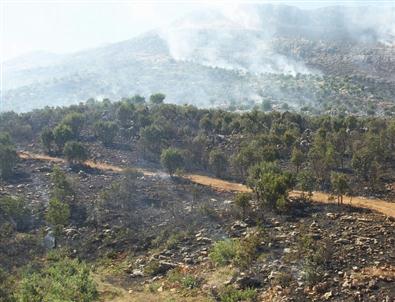 Çüngüş’te Orman Yangını