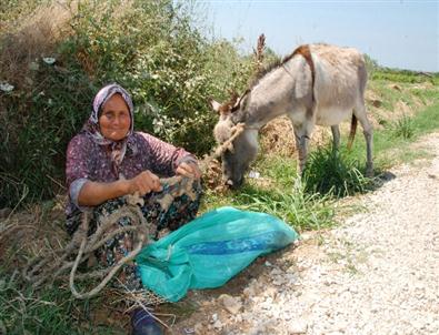 Raife Ninenin Başı Emektar Eşeğiyle Dertte