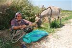 Raife Ninenin Başı Emektar Eşeğiyle Dertte