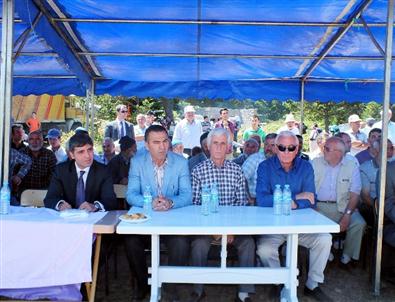 AK Parti Milletvekili Ali Turan, Koyulhisar’da Duman Baba Etkinliğine Katıldı