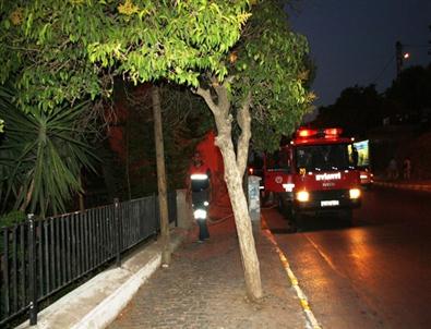 Ayvalık’ta Yangın Endişesi