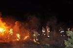 ÇAM FISTIĞI - Demirci'de Orman Yangını